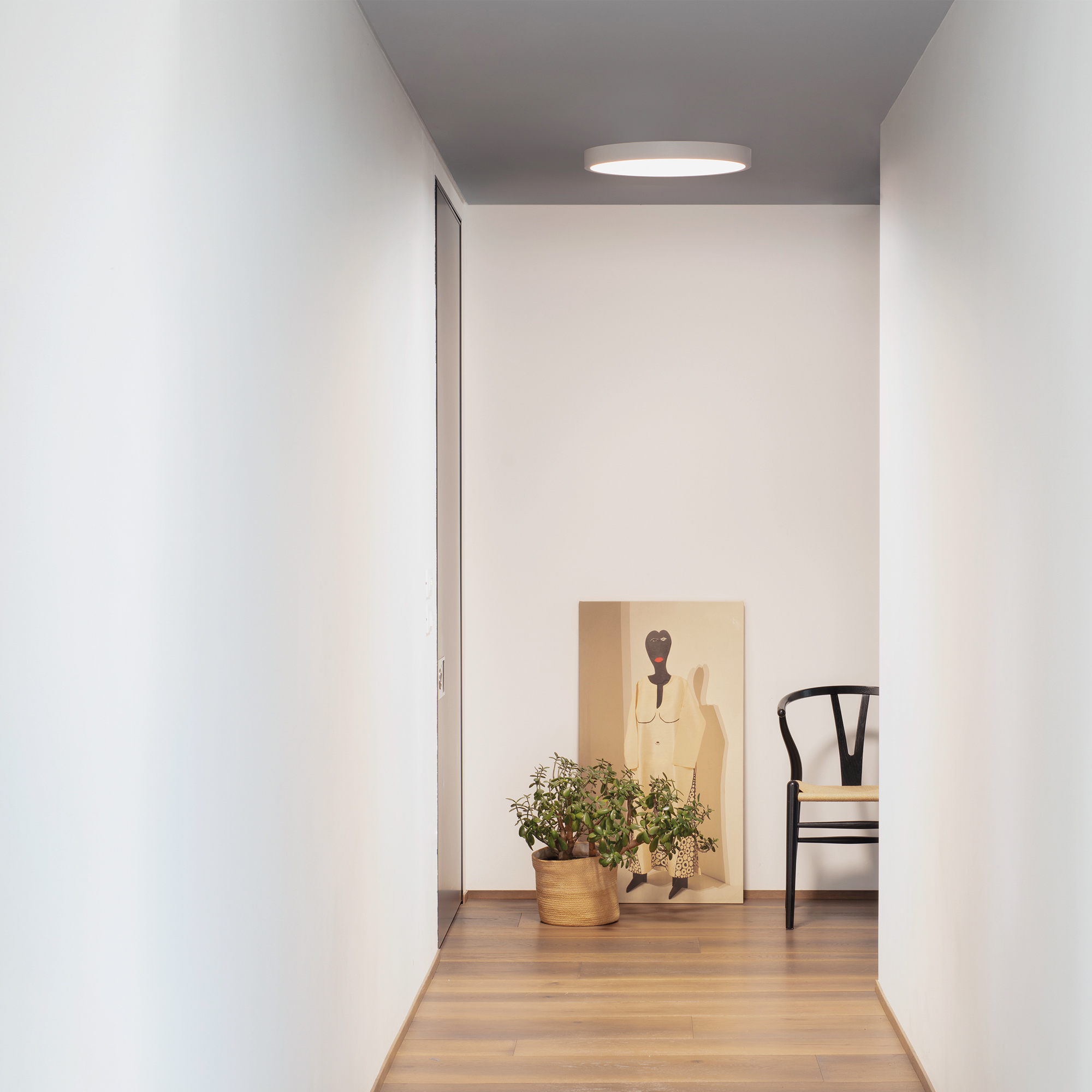 Ray PL D60 LED panel - bijela verzija