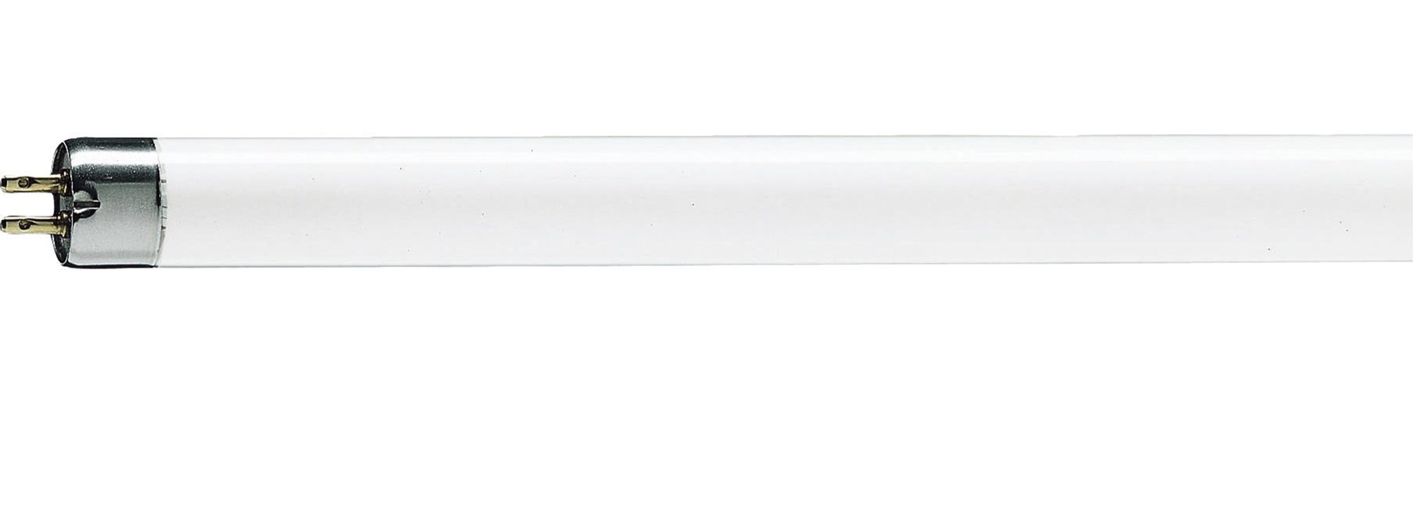 T5 FLUO CIJEV