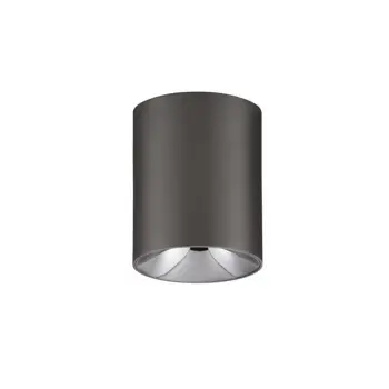 ANETO STROPNI REFLEKTOR SREBRNI LED 10W 600lm 3000K IP20