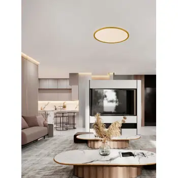 AOTON PLAFONJERA/ZIDNA LAMPA LED /2700-3000K/55W/4661Lm/BRUSHED GOLD