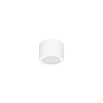 BOX PLAFONSKA SVJETILJKA IP40/830lm/4000K BIJELA