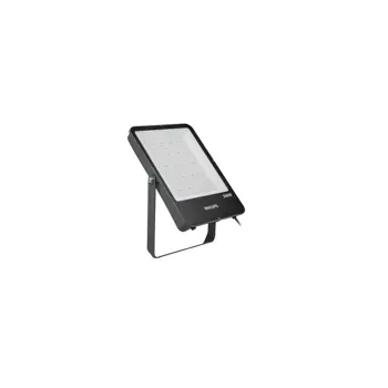 BVP166 PHILIPS LED industrijski reflektor/spot (4000K) 3S/84 250W