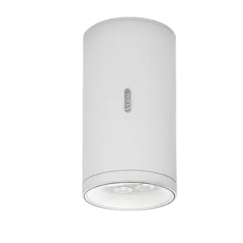 CALUMET 13 NADGRADNI STROPNI REFLEKTOR BIJELI/SIVI 7,5W 3000K 554lm