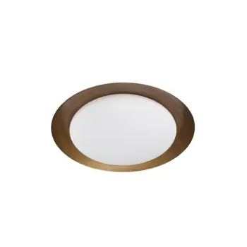 CREW ZIDNA SVJETILJKA IP40/1253lm/3000K brushed bronze