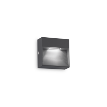 DEDRA LED ZIDNA SVJETILJKA AP VELIKA ANTRACIT IP65