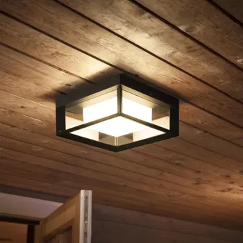 econic-philips-hue-zidna-svjetiljka-crna-waca-eu-10216-02180146.webp