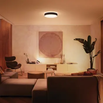 enrave-philips-hue-plafonjera-crna-98494-02180122.webp