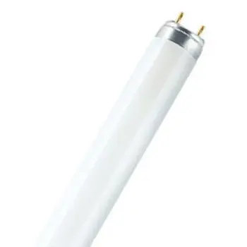 fluo-cijev-36w827t8-85270-10020944.webp