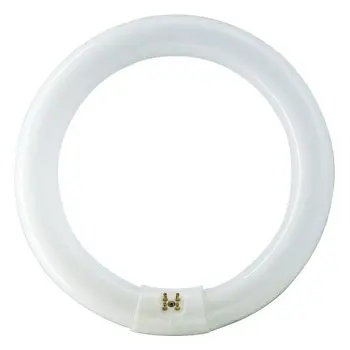 FLUO CIJEV OKRUGLA G10Q/22W/840 PHILIPS