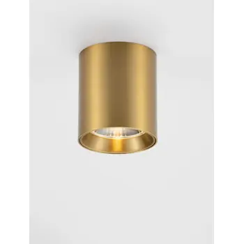 iris-stropni-reflektor-matt-zlatni-led-10w-220-240v-700lm-ip-2608-02169934.webp