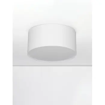 LULDO STROPNA SVJETILJKA LED/3000K/16W/976Lm/BIJELA