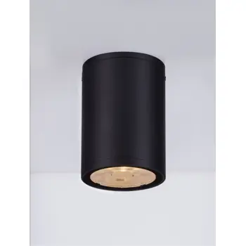 lumina-stropna-lampa-led-3000k-509lm-ip65-crna-80026-02075606.webp
