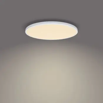 OZZIET PHILIPS LED stropna svjetiljka CL570 SS okrugla 22W 27K W
