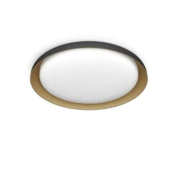 PEBBLO PHILIPS LED stropna svjetiljka SS B 10W 40K