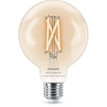 PHILIPS SMART LED žarulja 60W G95 E27 prozirna