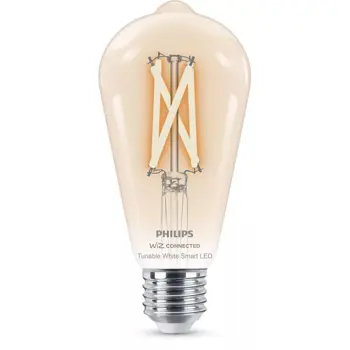 PHILIPS SMART LED žarulja 60W ST64 E27 prozirna