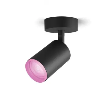 philips-fugato-reflektor-crni-1x42w-81400-02026990.webp