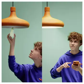 philips-wiz-pametna-zarulja-wi-fi-ble-100w-a60-e27-rgb-98192-02068613.webp