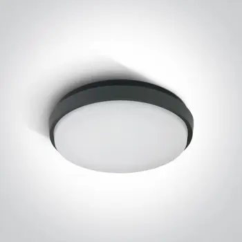 PLAFONJERA LED/30W/2500lm/3000K/230V IP54 ANTRACIT
