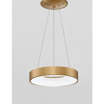 rando-thin-visilica-led-30w3000k1845lmdimmip20brusena-zlatna-28907-02101975.webp