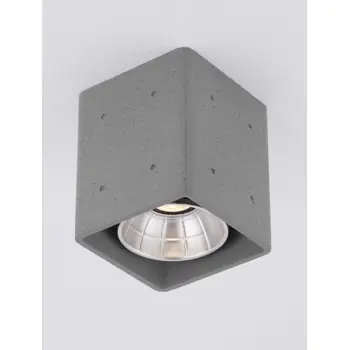 RITZ STROPNA SVJETILJKA SIVA LED 10 Watt 220-240Volt 1021lm 3000K IP65