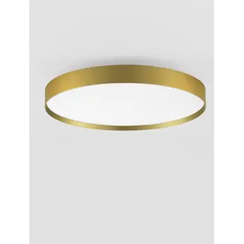 roi-plafonjerazidna-lampa-led-2700-3000k48w3724lmbrushed-gol-41836-02026552.webp