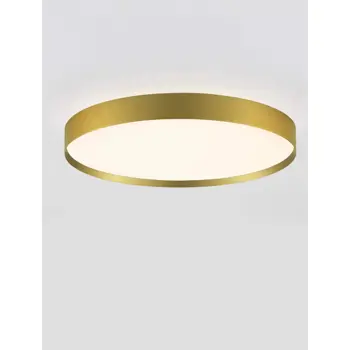 roi-plafonjerazidna-lampa-led-2700-3000k48w3724lmbrushed-gol-48540-02026552.webp