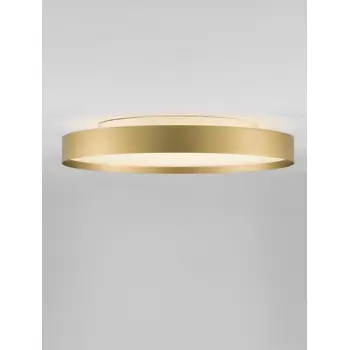 roi-plafonjerazidna-lampa-led-2700-3000k48w3724lmbrushed-gol-70873-02026552.webp