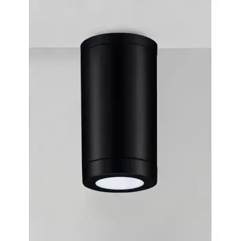 SPOT VANJSKI STROPNI REFLEKTOR GU10 1x10 Watt IP54 CRNA