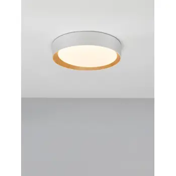 STAKE PLAFONSKA SVJETILJKA LED 30W/3000K/1717lm/DIMM/IP20/BIJELA