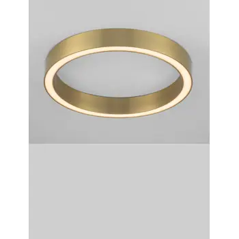 sting-plafonska-svjetiljka-led-40w3000k2153lmdimmip20bronca-40307-02101857.webp