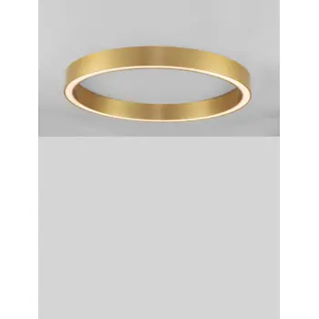sting-plafonska-svjetiljka-led-50w3000k2968lmdimmip20bronca-55869-02101858.webp