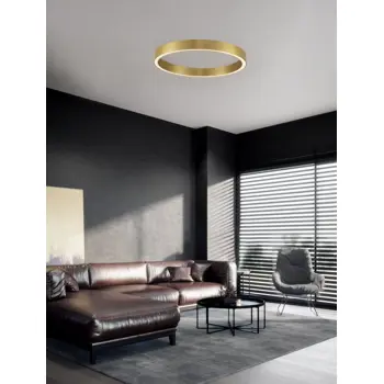 sting-plafonska-svjetiljka-led-50w3000k2968lmdimmip20bronca-70520-02101858.webp