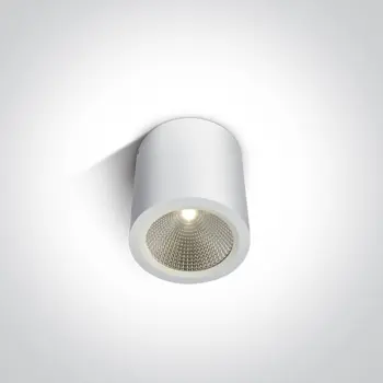 STROPNA LED SVJETILJKA 10W/3000K/700lm/60°/240V IP54 BIJELA