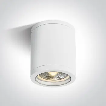 STROPNA SVJETILJKA 1XE27 10W PAR30 IP65 BIJELA