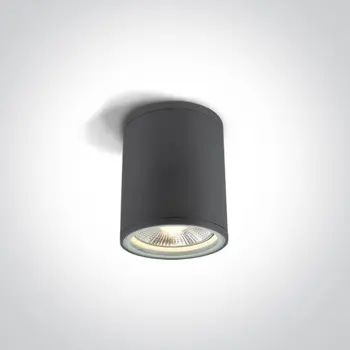 STROPNA SVJETILJKA 1×E27/75W/PAR30/230V IP54 ANTRACIT