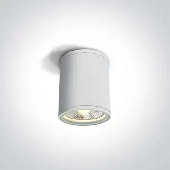 STROPNA SVJETILJKA 1×E27/75W/PAR30/230V IP54 BIJELA