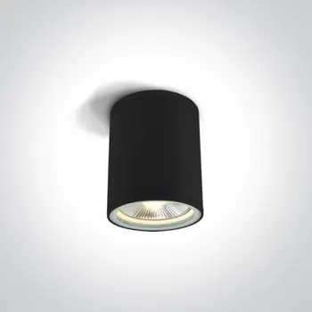STROPNA SVJETILJKA 1×E27/75W/PAR30/230V IP54 CRNA