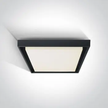 STROPNA SVJETILJKA LED 30W 2500lm IP54 CRNA