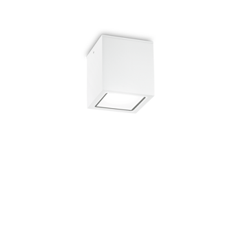 TECHO STROPNA LAMPA PL1 MALA BIJELA GU10 IP54