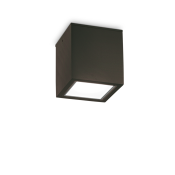 TECHO STROPNA LAMPA PL1 VELIKA CRNA GU10 IP54