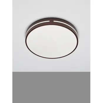 WHEEL PLAFONSKA SVJETILJKA LED 30W/3000K/1825lm/IP20/SMEĐA