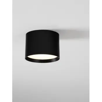 ZIAZA STROPNA LAMPA  LED/3000K/17W/833Lm/CRNA