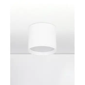 ziaza-stropna-lampa-led3000k10w505lmbijela-41697-02026622.webp