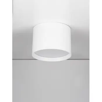 ziaza-stropna-lampa-led3000k17w833lmbijela-26192-02026624.webp