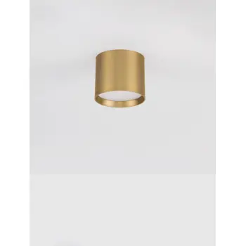 ziaza-stropna-svjetiljka-zlatna-led-10w-505lm-3000k-ip20-15495-02186061.webp