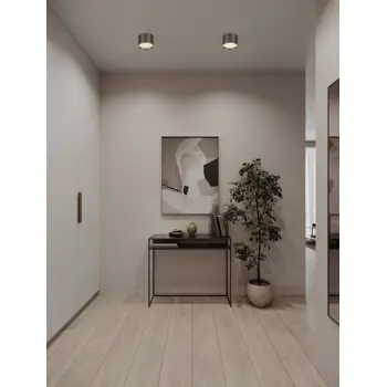ziaza-stropni-reflektor-srebrni-led-17w-833lm-3000k-ip20-48460-02186064.webp