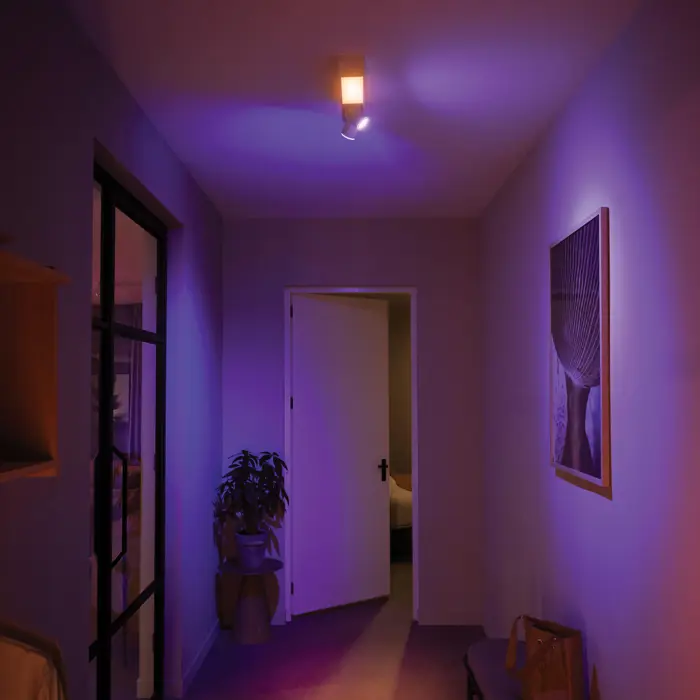 Centris PHILIPS HUE UGRADBENI REFLEKTOR BIJELI 2-SPOT