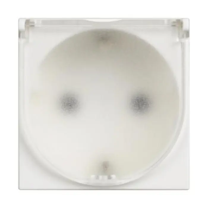 classia-uticnica-s-pokl-2pe16a250v-2m-bijela-26225-04071542.webp