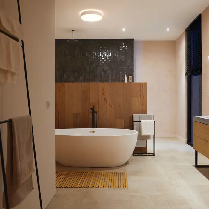 DEVERE PHILIPS HUE LED stropna svjetiljka L bijela